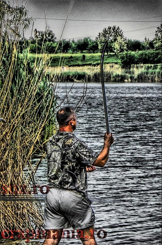 Crapmania (3) - 2013 - 1010970hdrmode2.jpg